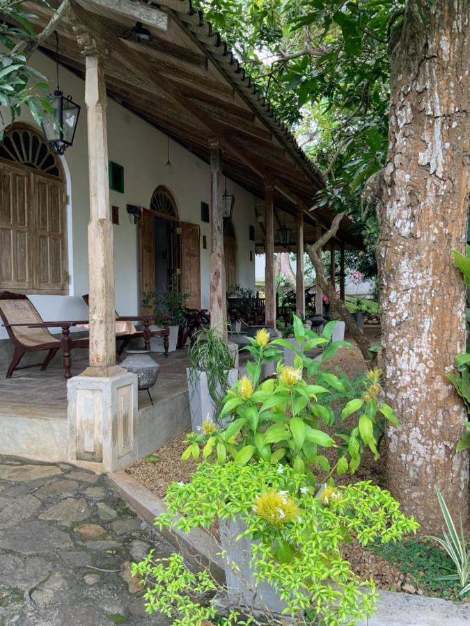 Lali Villa & Fruit Garden Galle Kültér fotó