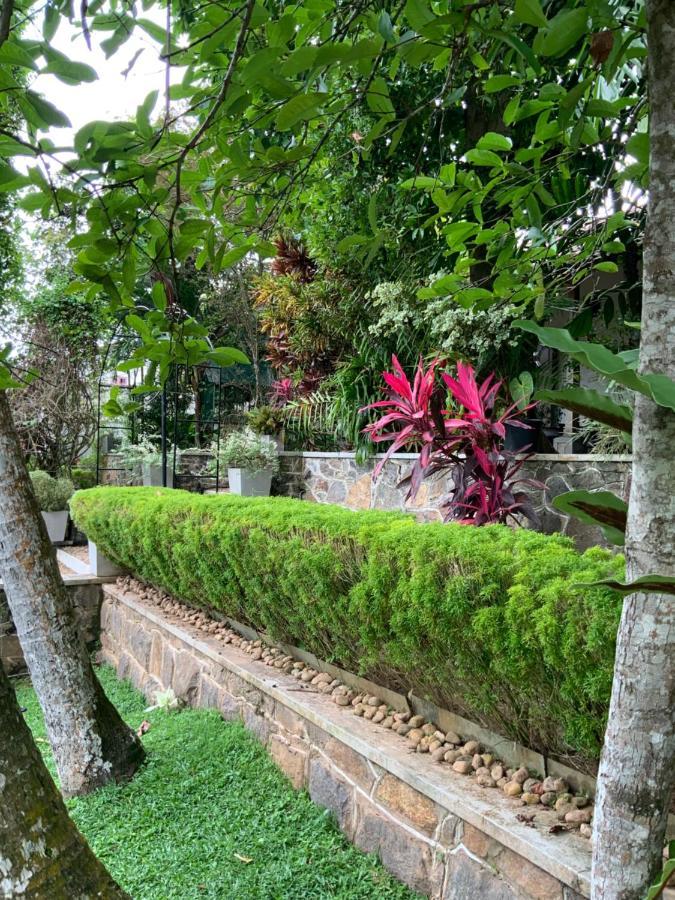 Lali Villa & Fruit Garden Galle Kültér fotó