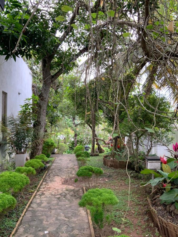 Lali Villa & Fruit Garden Galle Kültér fotó