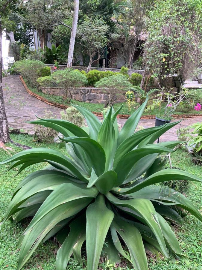 Lali Villa & Fruit Garden Galle Kültér fotó