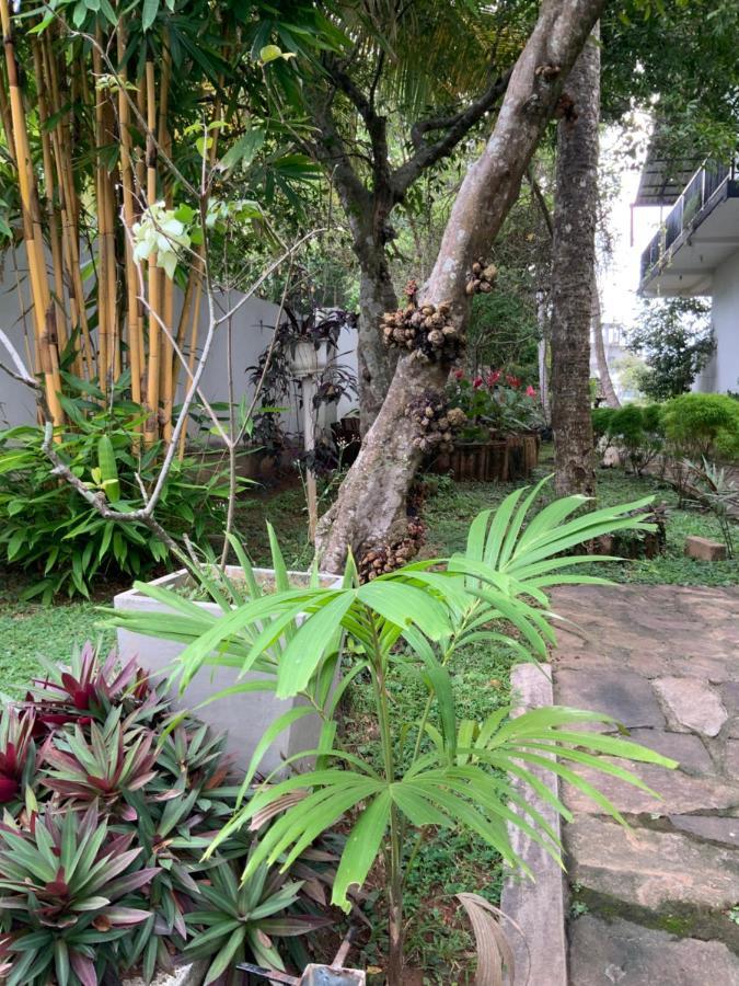 Lali Villa & Fruit Garden Galle Kültér fotó