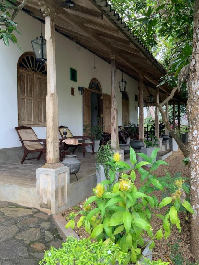 Lali Villa & Fruit Garden Galle Kültér fotó