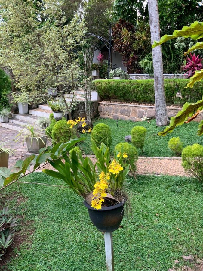 Lali Villa & Fruit Garden Galle Kültér fotó