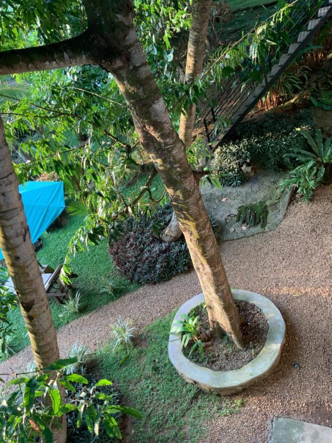 Lali Villa & Fruit Garden Galle Kültér fotó