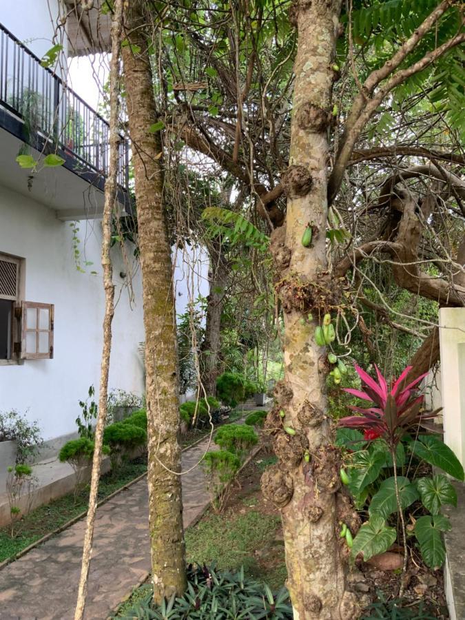 Lali Villa & Fruit Garden Galle Kültér fotó