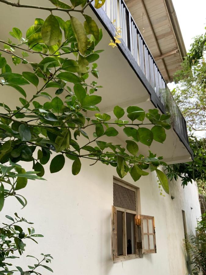 Lali Villa & Fruit Garden Galle Kültér fotó
