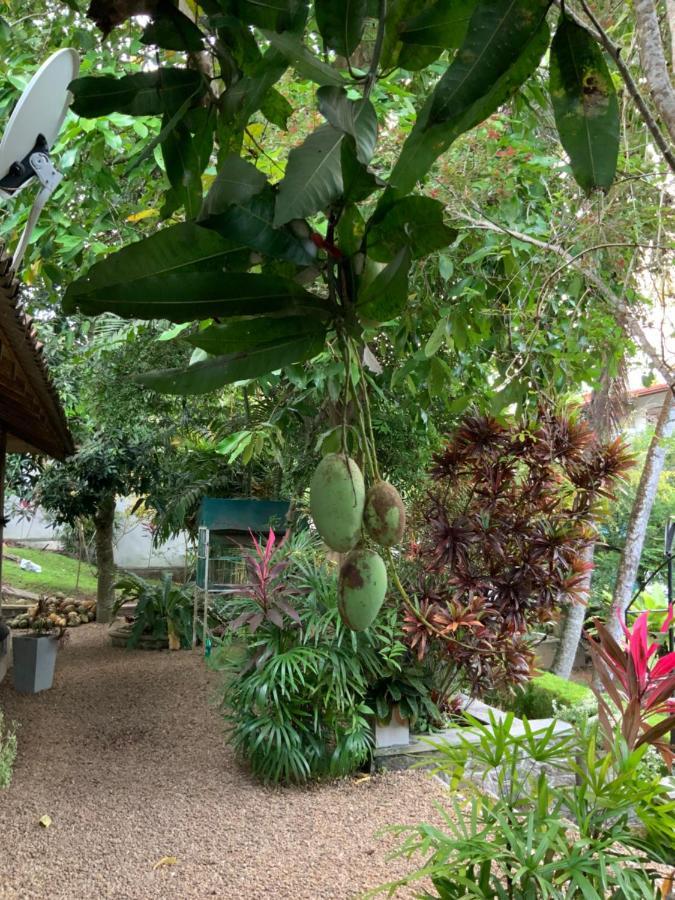 Lali Villa & Fruit Garden Galle Kültér fotó
